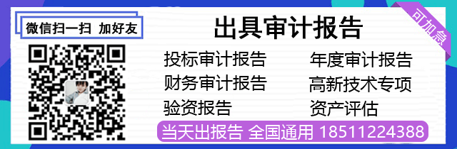 广州审计报告_出具年度财务审计报告收费标准_投标用审计报告多少钱