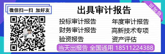 北京审计报告_出具年度财务审计报告收费标准_投标用审计报告多少钱